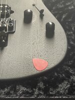 IMG_1047.jpeg