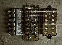 IMG_1049.jpeg