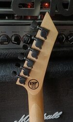 No name headstock back.jpg