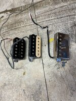 IMG_8961.jpeg