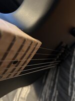 IMG_1955.jpeg