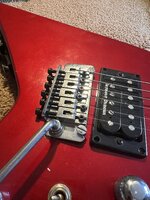 IMG_5898.jpeg IMG_5898.jpeg