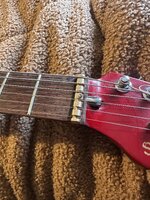 IMG_5895.jpeg IMG_5895.jpeg