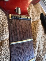 IMG_5509.jpeg IMG_5509.jpeg