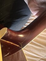 IMG_5923.jpeg IMG_5923.jpeg