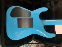 IMG_4375.jpeg IMG_4375.jpeg