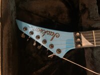 IMG_4372.jpeg IMG_4372.jpeg