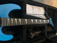 IMG_4380.jpeg IMG_4380.jpeg