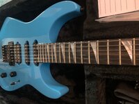 IMG_4381.jpeg IMG_4381.jpeg