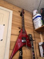 IMG_6260.jpeg