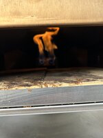 IMG_4978.jpeg
