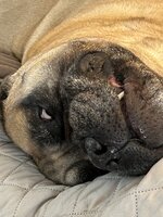 IMG_5056.jpeg