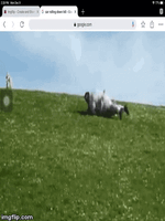 3ix2tt.gif