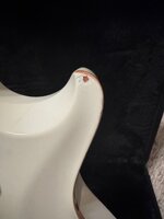 IMG_3943.jpeg