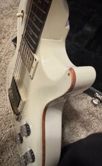 IMG_3947.jpeg