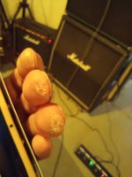 IMG_20240106_212738612.jpg