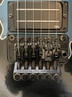 IMG_2250.jpeg