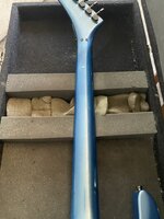IMG_2255.jpeg