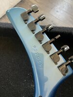 IMG_2257.jpeg