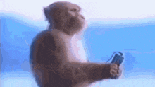 1778937398640.gif