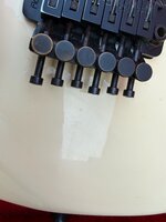 IMG_2720.jpeg