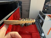 IMG_2722.jpeg