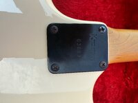 IMG_2714.jpeg
