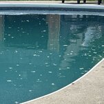 IMG_5213.jpeg