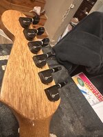 IMG_7226.jpeg IMG_7226.jpeg