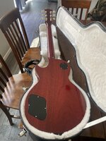 IMG_2331.jpeg