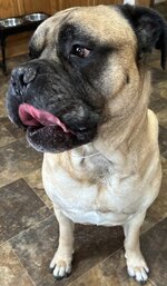 IMG_5241.jpeg