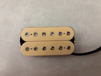 IMG_5879.jpeg