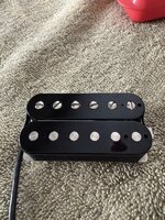 IMG_3122.jpeg