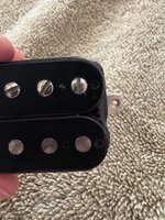 IMG_3123.jpeg