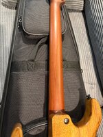 IMG_1742.jpeg