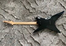 IMG_4537.jpg