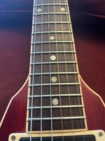 IMG_4342.jpeg