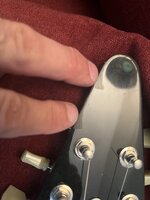 IMG_4344.jpeg