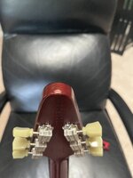 IMG_4358.jpeg