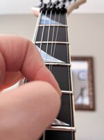 IMG_6230.JPG