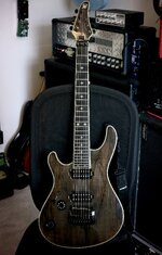 IMG_2708.jpeg