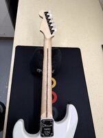 IMG_2081.jpeg
