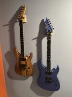 IMG_3503.jpeg