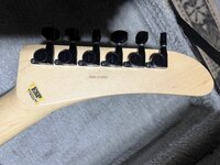 IMG_5018.jpeg