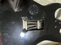 IMG_5017.jpeg