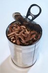 can_of_worms.jpg