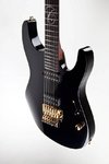 Suhr_inlay.jpg