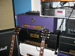 purplexi2.jpg