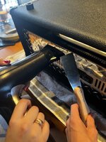 IMG_3390.jpeg