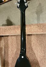 IMG_0046.jpeg